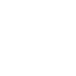 Color-Icon